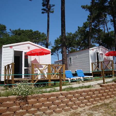 Orbitur Caminha Bungalows - Caravan Park Exteriér fotografie