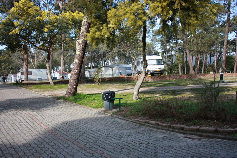 Orbitur Caminha Bungalows - Caravan Park Exteriér fotografie