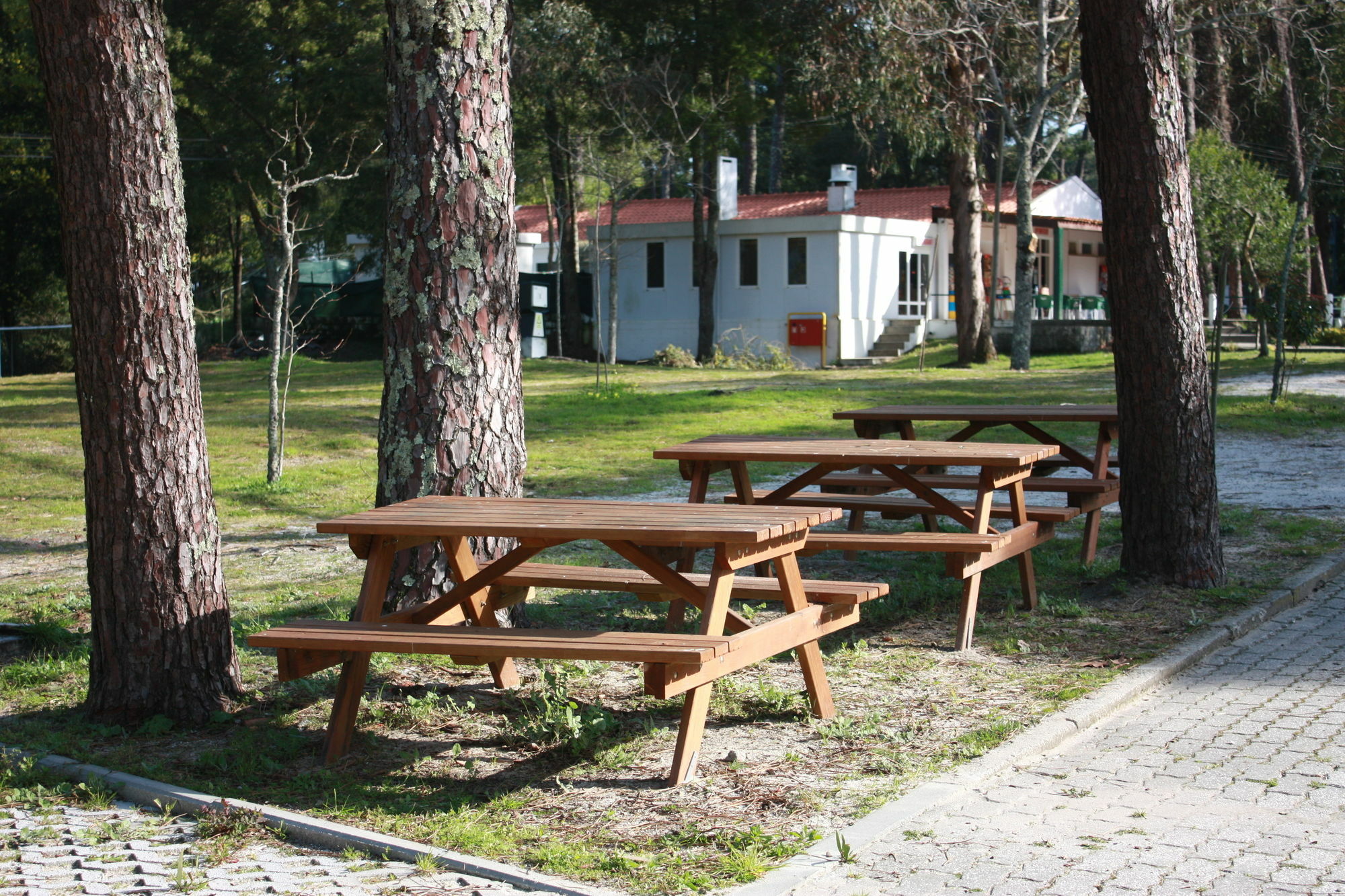 Orbitur Caminha Bungalows - Caravan Park Exteriér fotografie