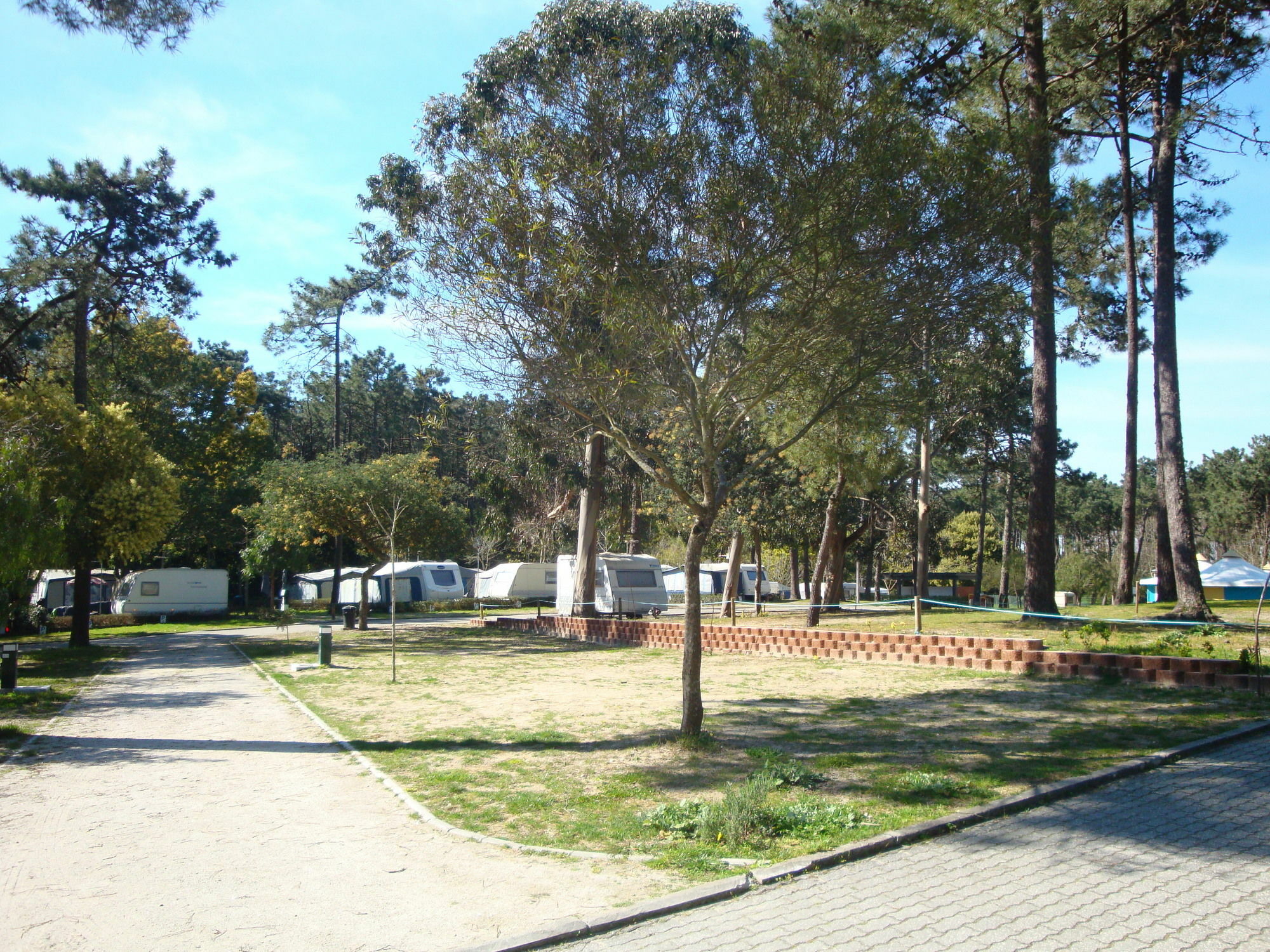 Orbitur Caminha Bungalows - Caravan Park Exteriér fotografie