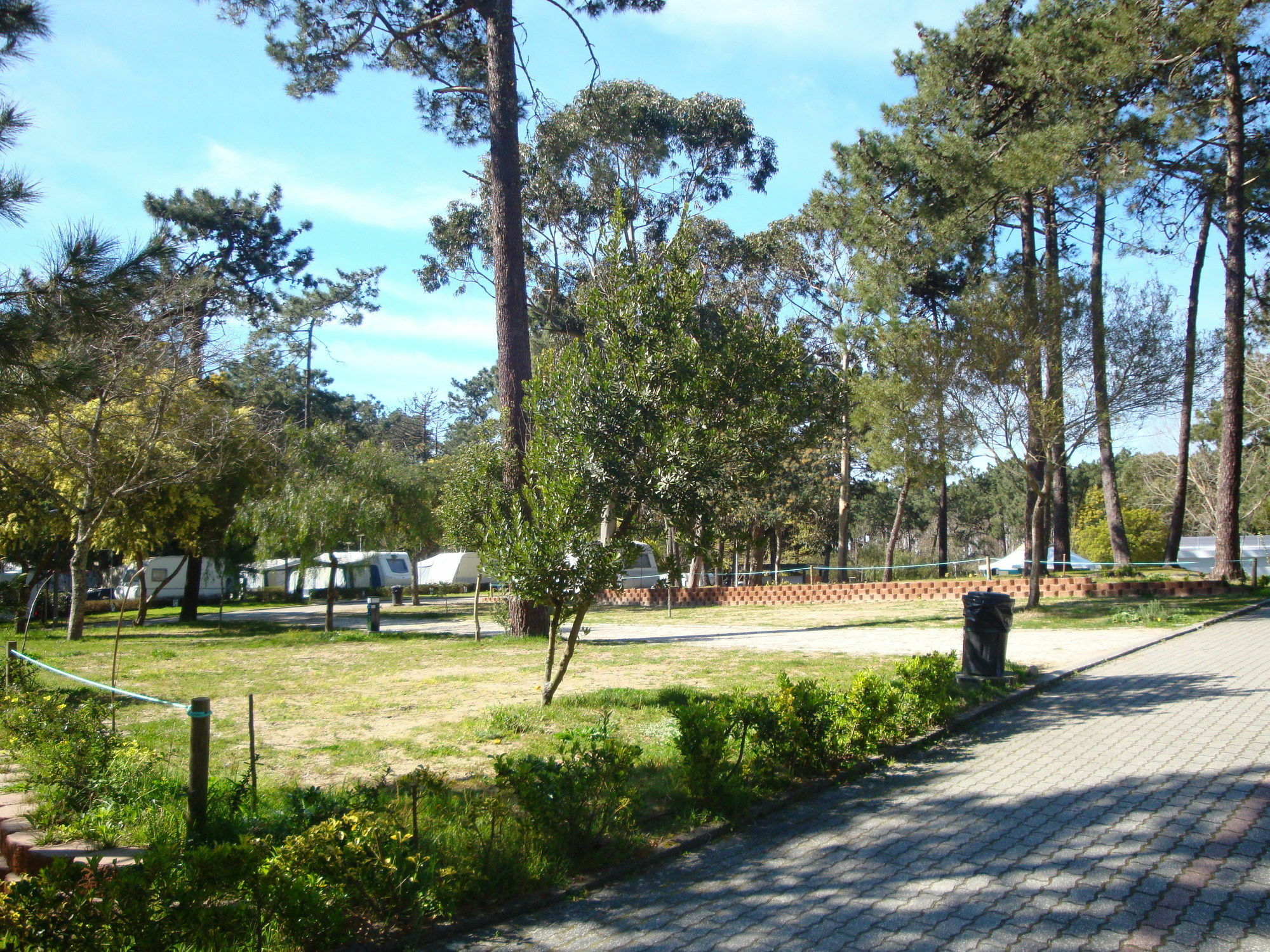 Orbitur Caminha Bungalows - Caravan Park Exteriér fotografie